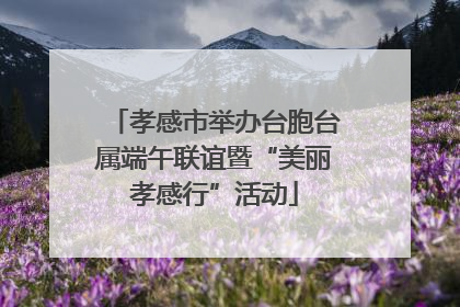 孝感市举办台胞台属端午联谊暨“美丽孝感行”活动