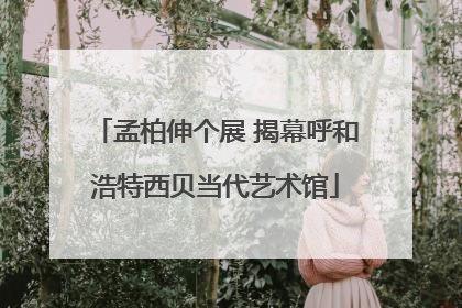 孟柏伸个展 揭幕呼和浩特西贝当代艺术馆