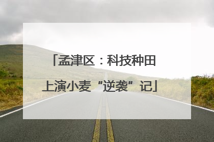 孟津区：科技种田 上演小麦“逆袭”记