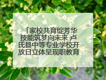 家校共育绽芳华 技能筑梦向未来 卢氏县中等专业学校开放日立体呈现职教育人新图景