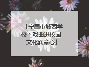 宁国市城西学校：戏曲进校园 文化润童心