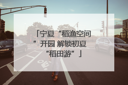 宁夏“稻渔空间”开园 解锁初夏“稻田游”