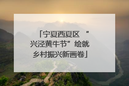 宁夏西夏区 “兴泾黄牛节”绘就乡村振兴新画卷