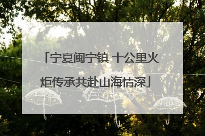 宁夏闽宁镇 十公里火炬传承共赴山海情深