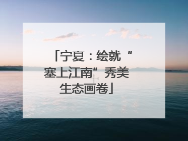 宁夏：绘就“塞上江南”秀美生态画卷