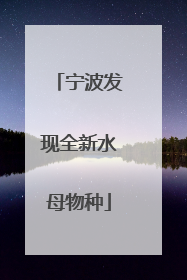 宁波发现全新水母物种