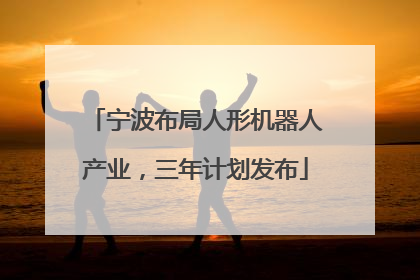 宁波布局人形机器人产业，三年计划发布