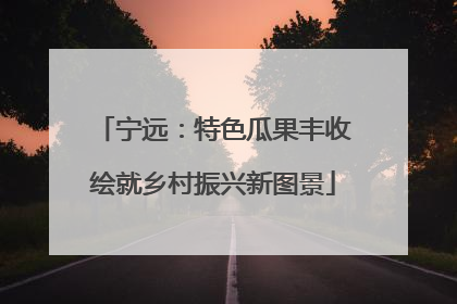 宁远：特色瓜果丰收绘就乡村振兴新图景