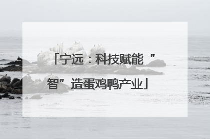宁远：科技赋能“智”造蛋鸡鸭产业