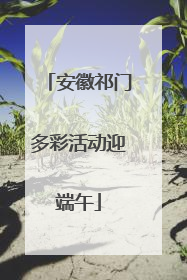 安徽祁门多彩活动迎端午