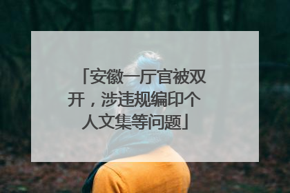 安徽一厅官被双开，涉违规编印个人文集等问题