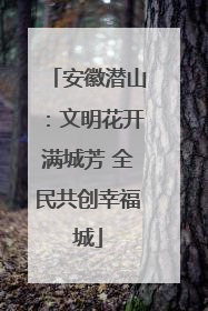 安徽潜山：文明花开满城芳 全民共创幸福城