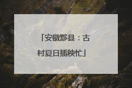 安徽黟县：古村夏日插秧忙