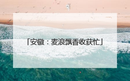 安徽：麦浪飘香收获忙