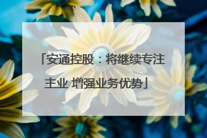 安通控股：将继续专注主业 增强业务优势