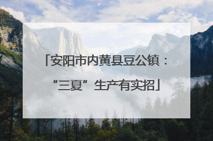安阳市内黄县豆公镇：“三夏”生产有实招