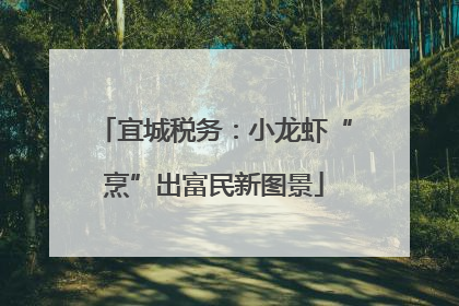 宜城税务：小龙虾“烹”出富民新图景