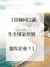 宜城何以诞生全球染发剂领军企业？