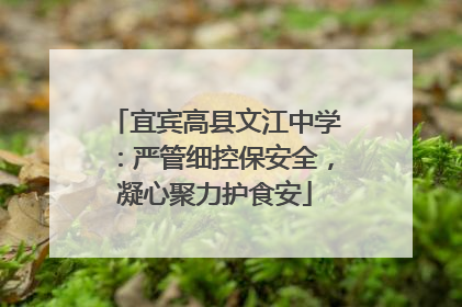 宜宾高县文江中学：严管细控保安全，凝心聚力护食安