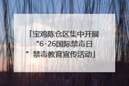 宝鸡陈仓区集中开展“6･26国际禁毒日”禁毒教育宣传活动