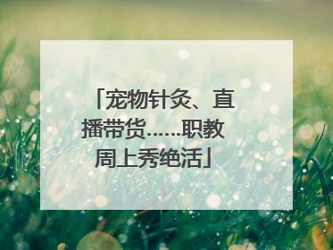 宠物针灸、直播带货……职教周上秀绝活