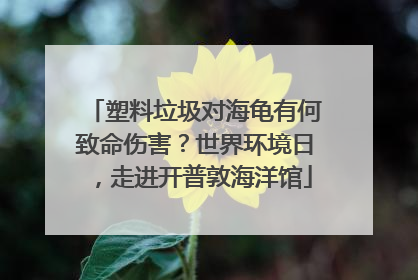 塑料垃圾对海龟有何致命伤害？世界环境日，走进开普敦海洋馆