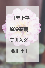 塞上平原冷凉蔬菜进入采收旺季