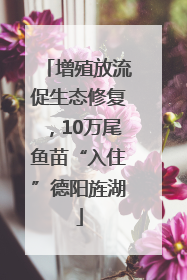 增殖放流促生态修复，10万尾鱼苗“入住”德阳旌湖