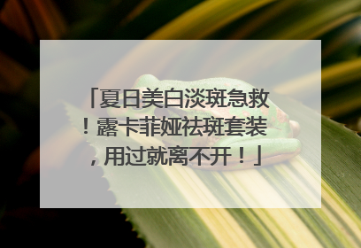 夏日美白淡斑急救！露卡菲娅祛斑套装，用过就离不开！