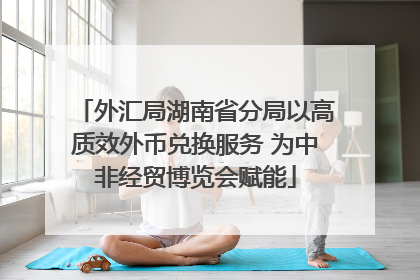 外汇局湖南省分局以高质效外币兑换服务 为中非经贸博览会赋能
