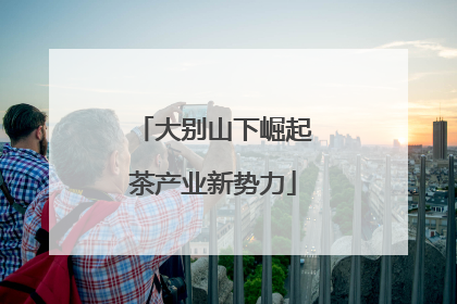 大别山下崛起茶产业新势力
