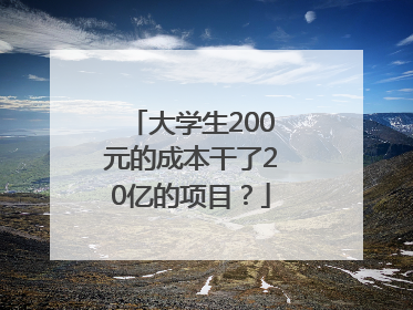 大学生200元的成本干了20亿的项目？