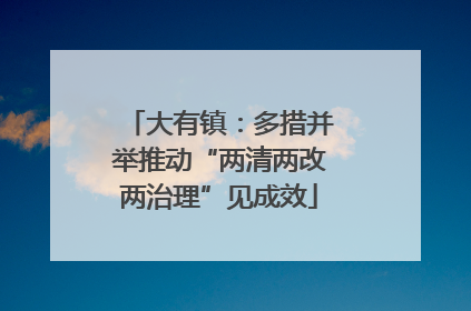 大有镇：多措并举推动“两清两改两治理”见成效