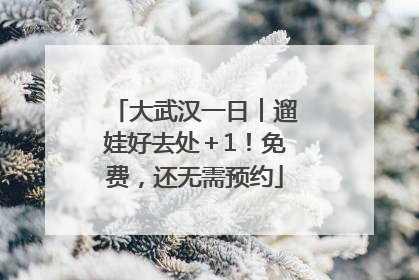 大武汉一日︱遛娃好去处＋1！免费，还无需预约
