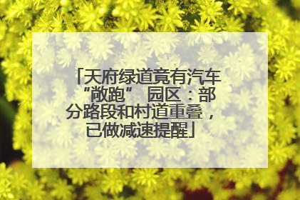 天府绿道竟有汽车“敞跑” 园区：部分路段和村道重叠，已做减速提醒