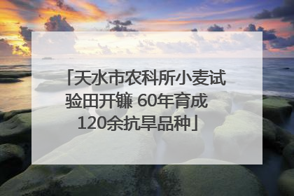 天水市农科所小麦试验田开镰 60年育成120余抗旱品种