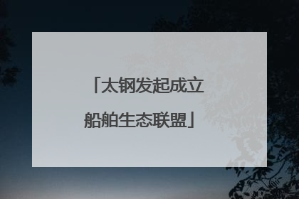 太钢发起成立船舶生态联盟