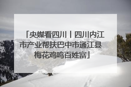央媒看四川丨四川内江市产业帮扶巴中市通江县 梅花鸡鸣百姓富