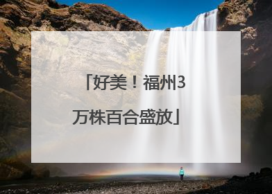 好美！福州3万株百合盛放