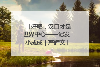 好吧，汉口才是世界中心——记发小成成｜严辉文