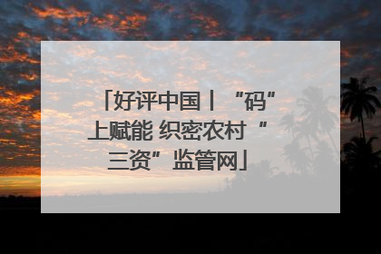 好评中国丨“码”上赋能 织密农村“三资”监管网
