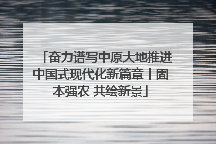 奋力谱写中原大地推进中国式现代化新篇章丨固本强农 共绘新景