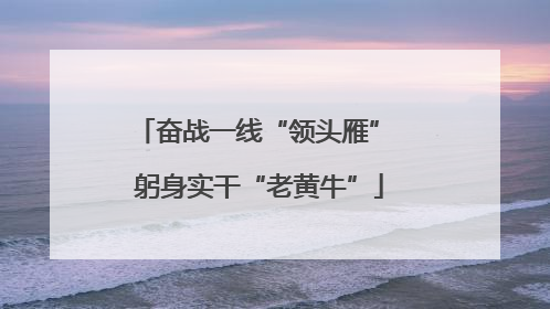 奋战一线“领头雁” 躬身实干“老黄牛”