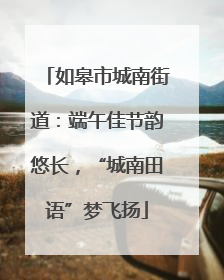 如皋市城南街道：端午佳节韵悠长，“城南田语”梦飞扬