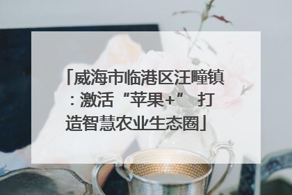 威海市临港区汪疃镇：激活“苹果+” 打造智慧农业生态圈
