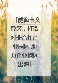 威海市文登区：打造对非合作产业园区 助力企业抱团出海