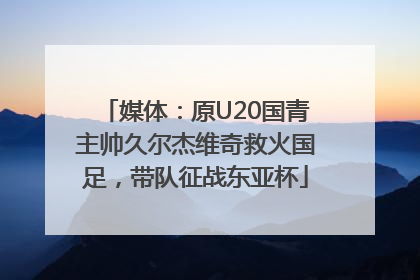 媒体：原U20国青主帅久尔杰维奇救火国足，带队征战东亚杯
