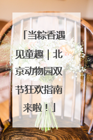 当粽香遇见童趣｜北京动物园双节狂欢指南来啦！