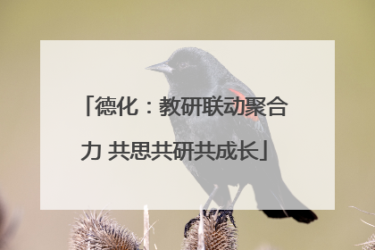 德化：教研联动聚合力 共思共研共成长