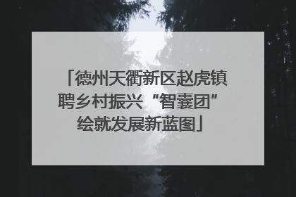 德州天衢新区赵虎镇聘乡村振兴“智囊团” 绘就发展新蓝图